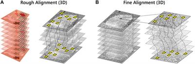 Integrated Array Tomography for 3D Correlative Light and Electron Microscopy